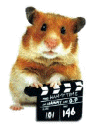 Hamster Director